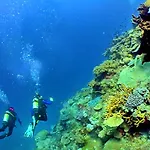 Luxury Penthouse Wstunning Sea Views, Walk To Galé Appartamento