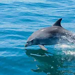 Luxury Penthouse Wstunning Sea Views, Walk To Galé Appartamento Albufeira