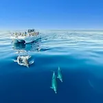 Luxury Penthouse Wstunning Sea Views, Walk To Galé Appartement Albufeira